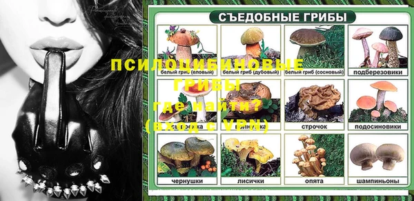 шишки Заводоуковск