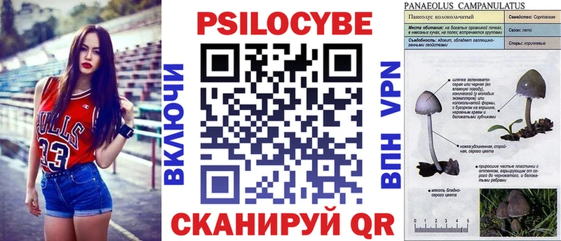 Купить закладки  Ростов  Псилоцибиновые грибы Psilocybine cubensis 